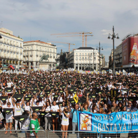 Miles de animalistas han llenado la Puerta del Sol de Madrid para pedir el fin de la tauromaquia y los festejos en los que se maltratan animales. Sergio Gómez