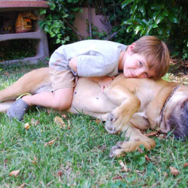 Los niños no entienden que el animal no siempre quiere que le acaricien o le sigan a todas partes. SINC