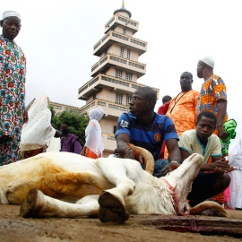 Una cabra degollada con motivo de la celebración del Eid al Adha. EFE