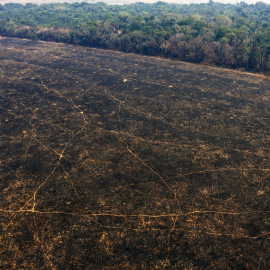 Así luce el suelo de la Amazonia en Porto Velho tras el paso de la deforestación y los incendios. / AFP