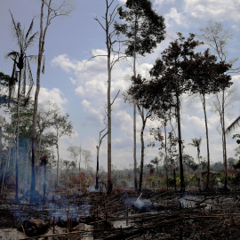 Así quedó la zona de Porto Velho en el estado de Rondonia tras los incendios de agosto. / AFP