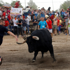 Un hombre corre frente al toro durante el acto del Toro de la Peña.- REUTERS