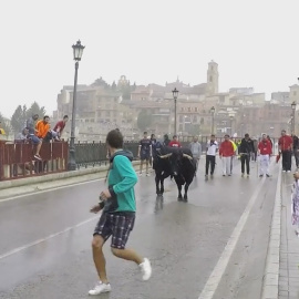 Pelado, la primera víctima de la nueva etapa del Toro de la Vega es acosado por los participantes/PACMA