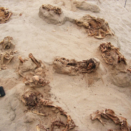 Detalle de la fosa con los restos más de un centenar de niños en lo que parece un sacrificio masivo precolombino en Perú. NATGEO