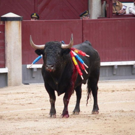 Un toro maltratado en una corrida. Foto: Manuel González Olaechea y Franco / Creative Commons.