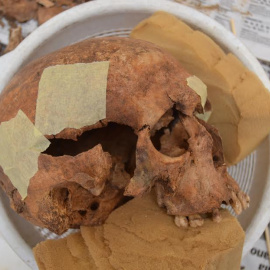 Uno de los cráneos encontrados en la excavaciones de Villanueva de la Serena.