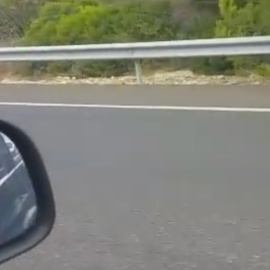 El perro abandonado busca el coche de sus dueños.
