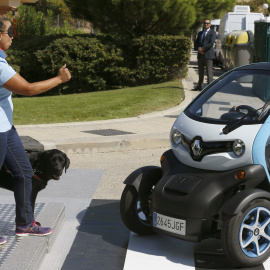 Demostración del servicio ofrecido por un perro-guía ante un paso de cebra durante la demostración como parte de los actos del 25 aniversario de la de la Fundación ONCE del Perro Guía. EFE/Sergio Barrenechea