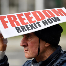 Un manifestante a favor del brexit./EFE