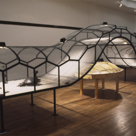 El Teatro del mundo, del artista chino Huang Yong Ping, exhibe insectos y reptiles vivos en una jaula. MUSEO GUGGENHEIM.