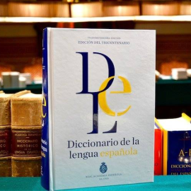 Diccionario de la Lengua Española. / RAE