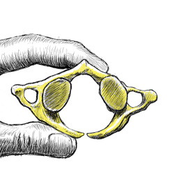 La endogamia contribuyó a la extinción de los neandertales que habitaron en Asturias. /CSIC