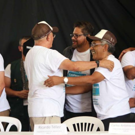 Miembros del estado mayor del secretariado de las FARC celebran la ratificación unánime del acuerdo de paz alcanzado con el Gobierno colombiano. - EFE