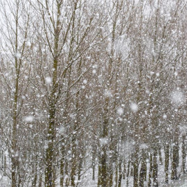 El tiempo empeora este jueves, con nieves, lluvias y frío. En la foto, nevada en el Puerto de Erro. / EFE