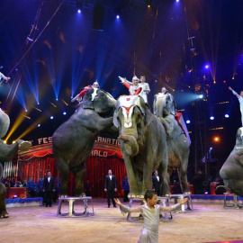 Un espectáculo con elefantes en un circo.