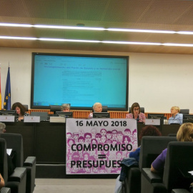 Jornadas Informativas en el Congreso sobre los Presupuestos Generales del Estado organizadas por la 'Plataforma Impacto de Género Ya' / Público