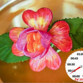 Investigadores estadounidenses diseñan una flor artificial programada para abrirse