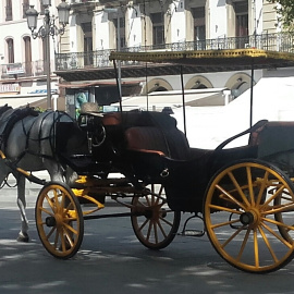 Caballos exhaustos en el centro de la ciudad de Sevilla.