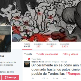 Perfil de Capitán Koala