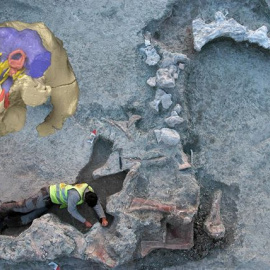 Un titanosaurio de 14 metros que habitó en Cuenca tenía el cerebro como una pelota de tenis. /CSIC