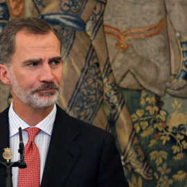El rey Felipe VI en una imagen de archivo.- EFE