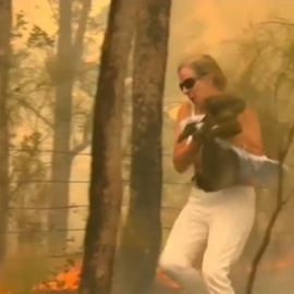 Toni Doherty, durante el rescate del koala en Port Macquarie (Australia). REUTERS