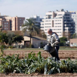 Agricultor en la huerta de la periferia de Valencia. / EFE