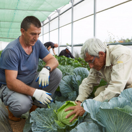 La Obra Social ”la Caixa” destina  cerca de un millón de euros a impulsar proyectos que promueven el desarrollo social del medio rural