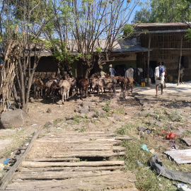  Foto del autor, frontera Etiopía / Sudán del Sur