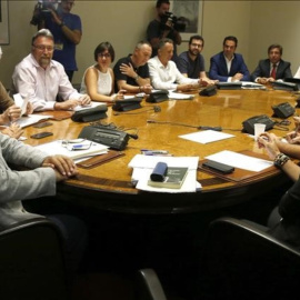 Reunión del Grupo Mixto