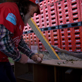 Uno de los trabajadores acampados recoge los huevos del gallinero que han instalado junto a la planta de Coca-Cola en Fuenlabrada, que lleva un año cerrada. -JAIRO VARGAS
