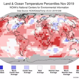 Anomalía de temperaturas en noviembre de 2019. / EUROPA PRESS - NOAA