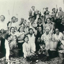 Colectividades agrarias en 1936.- Imagen de archivo