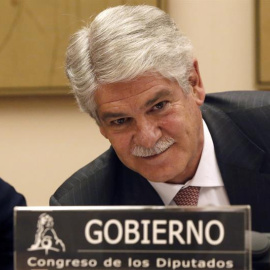 El ministro de Asuntos Exteriores, Alfonso Dastis, en el Congreso. /EFE