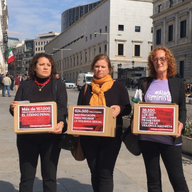Entrega de las firmas de los colectivos feministas en el Congreso. | EUROPA PRESS