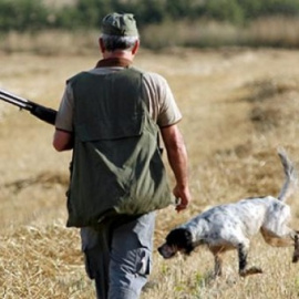 Un perro acompaña a un cazador durante una batida.