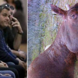 El condenado y el caváder del caballo Sorky.