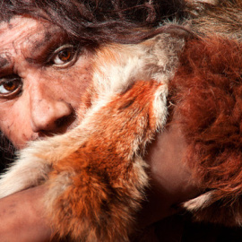 Reconstrucción de un hombre neandertal. Imagen: Fotolia