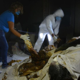 Policías ministeriales y expertos forenses recogen información hoy, viernes 6 de febrero de 2015, en el sitio donde fueron hallados un total de 61 cadáveres en un crematorio abandonado en el balneario mexicano de Acapulco, ubicado en el est