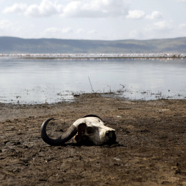 UNESCO que la región de los tres lagos que con el crecimiento rápido de la población cercana, la zona está bajo "considerable amenaza de las presiones de los alrededores."- REUTERS.