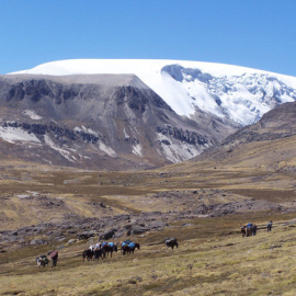 El glaciar Quelccaya, en los Andes peruanos. /Paolo Gabrielli