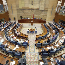 Un pleno de la Asamblea de Madrid. -EFE
