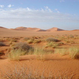 El clima español se asemejará al del norte de África según el informe Cambio climático en Europa 1950-2050. Percepción e impactos. / Wikipedia