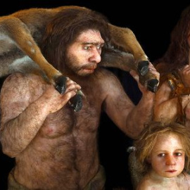 Los neandertales se repartían las tareas por sexo