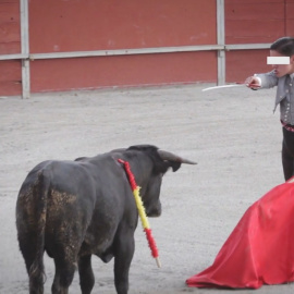 Imágenes de las clases prácticas en la escuela taurina de Pedrezuela, en Madrid. PACMA