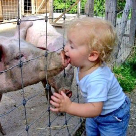 #FreeBacon y los mejores 'memes' de la crisis carnívora, tras la alerta de la OMS