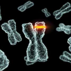 Científicos descubren que el ADN 'basura' determina la evolución del cáncer