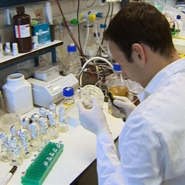 En el laboratorio también investigan si algunas proteínas del thuringiensis tienen actividad tóxica contra células cancerosas en las personas./ EFE/Archivo