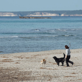 03/02/2020.- Una persona pasea con sus perros por la playa de Son Bou, en el municipio de Alaior (Menorca). EFE/David Arquimbau Sintes