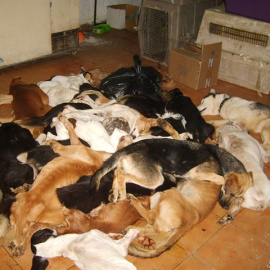 EUROPA PRESS/ELREFUGIO